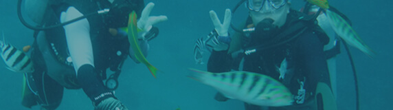 社員旅行(4~5月)