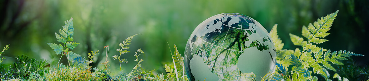 伊藤工務店の100年続く強さと未来への施策