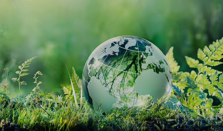 伊藤工務店の100年続く強さと未来への施策