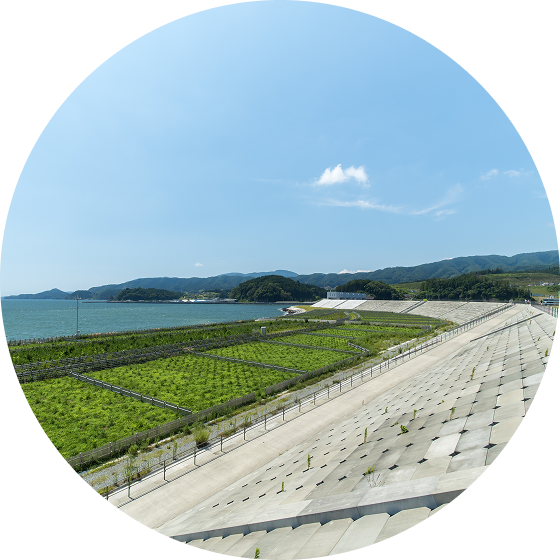 【現代】災害に即応する社会貢献と危機管理体制